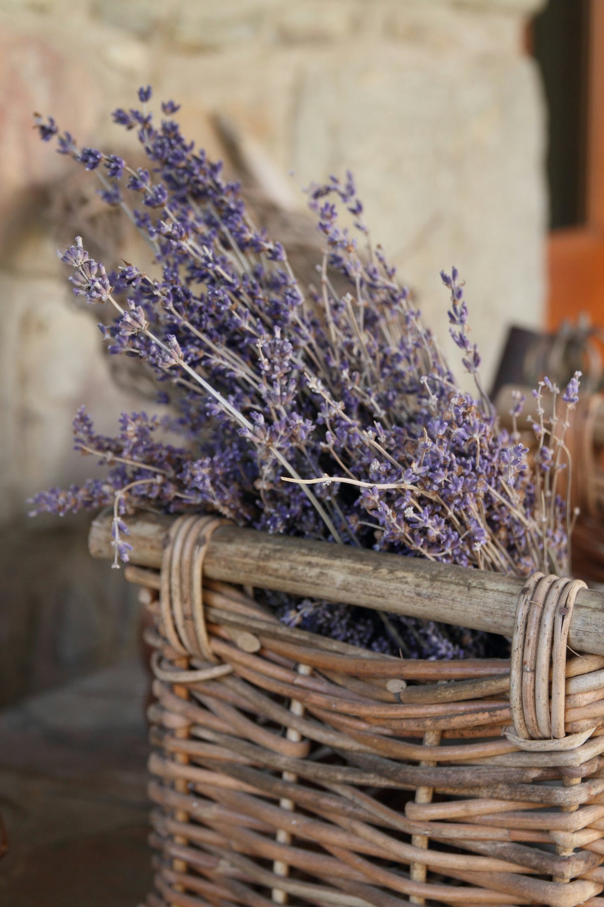 Dried Lavender bundle